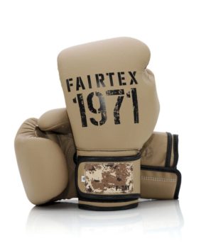 Боксерские перчатки Fairtex BGV25 F-DaY2