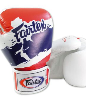 Боксерские перчатки Fairtex Fairtex BGV1 Thai PriDe