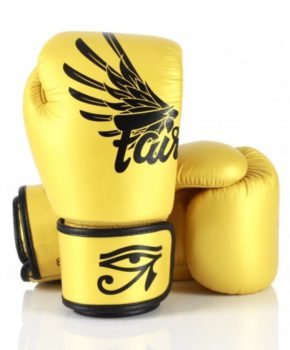 Боксерские перчатки Fairtex BGV1 Falcon